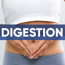 Carica l'immagine nel visualizzatore di Gallery, digestion