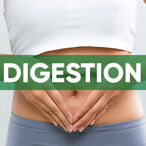 Digestion