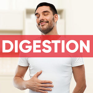 Digestion