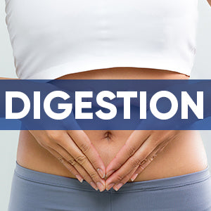 digestion